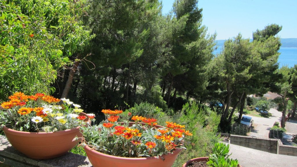 Apartments KATE - Duce, Croatia