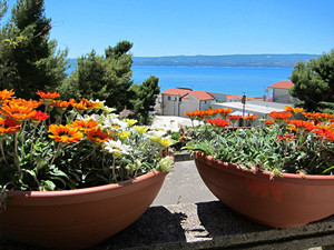 Apartments KATE are situated in one of the most beautiful part of Adriatic coast, in little place Duce near town of Omis, situated between two centres of Middle Dalmatia, Split on west side and Makarska on the east side.