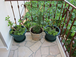 Apartments KATE are situated in one of the most beautiful part of Adriatic coast, in little place Duce near town of Omis, situated between two centres of Middle Dalmatia, Split on west side and Makarska on the east side.