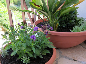 Apartments KATE are situated in one of the most beautiful part of Adriatic coast, in little place Duce near town of Omis, situated between two centres of Middle Dalmatia, Split on west side and Makarska on the east side.