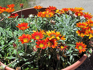 The apartment house KATE in Duce.