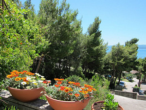 Apartments KATE are situated in one of the most beautiful part of Adriatic coast, in little place Duce near town of Omis, situated between two centres of Middle Dalmatia, Split on west side and Makarska on the east side.